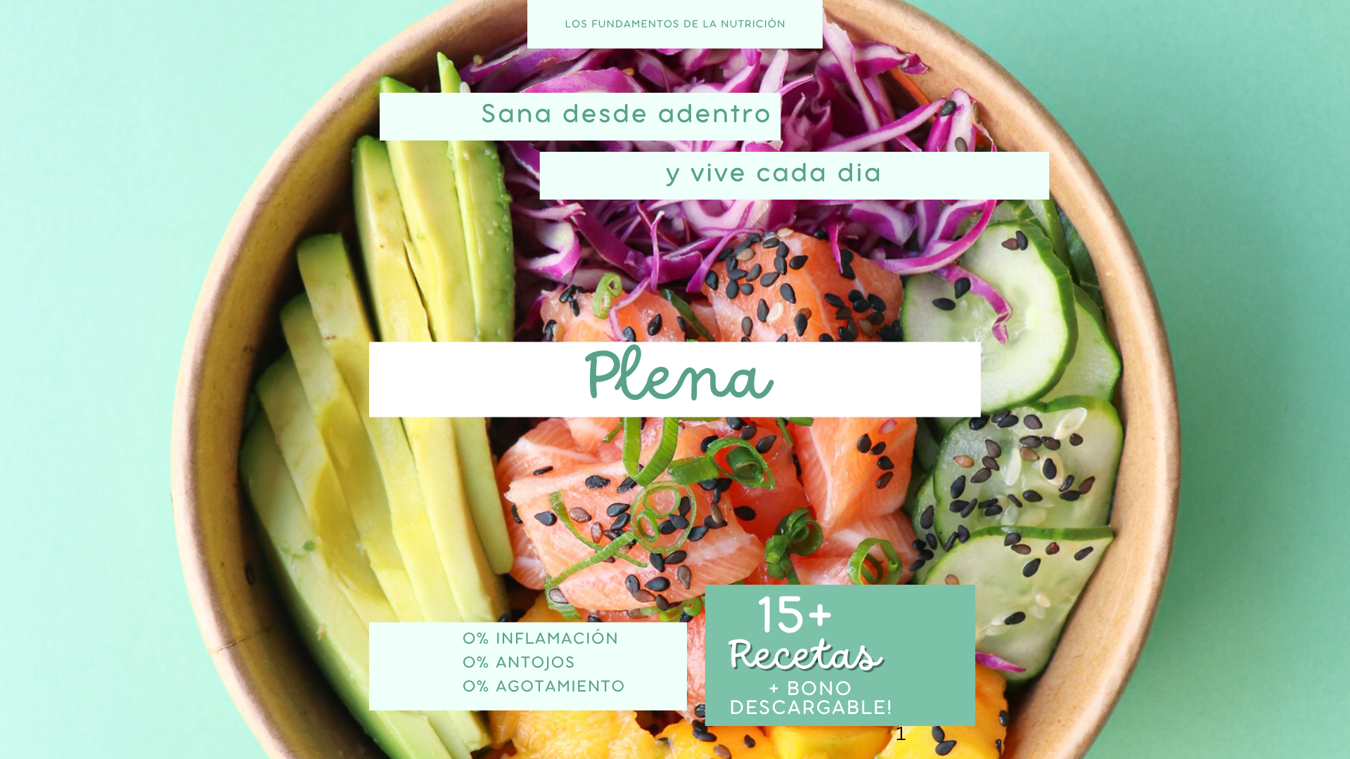 Plena- Sanando Desde Adentro (Presentation)